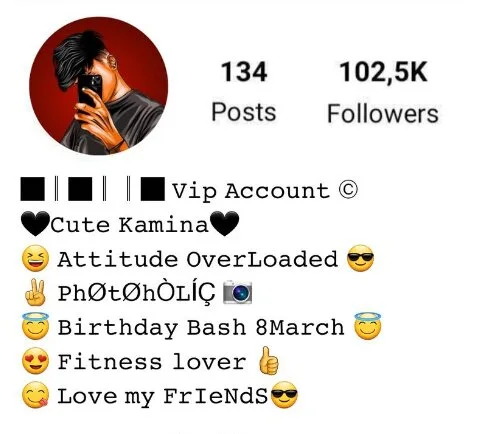 attitude bio for instagram for boys